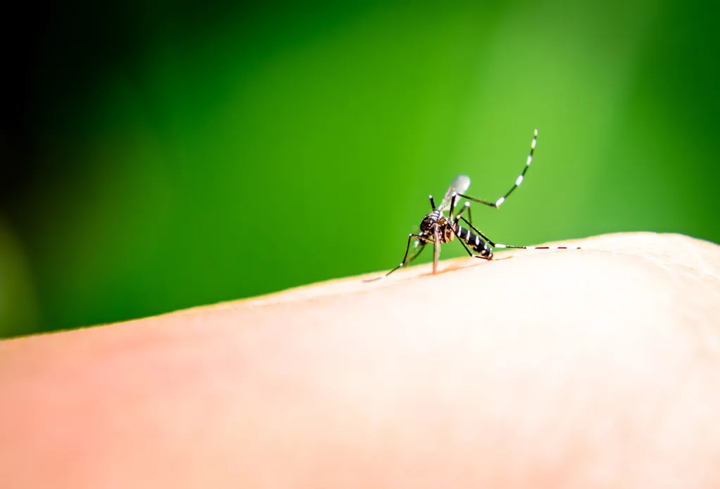 大冬天有蚊子就算了，为什么你的蚊子包还比别人的要痒？