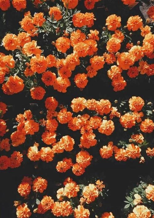 一寸光阴一寸金！高考作文参考范文《时间是试金石》