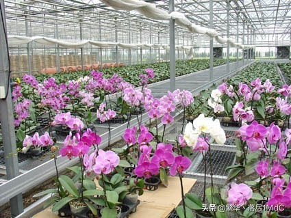 津南区（天津市下辖区)