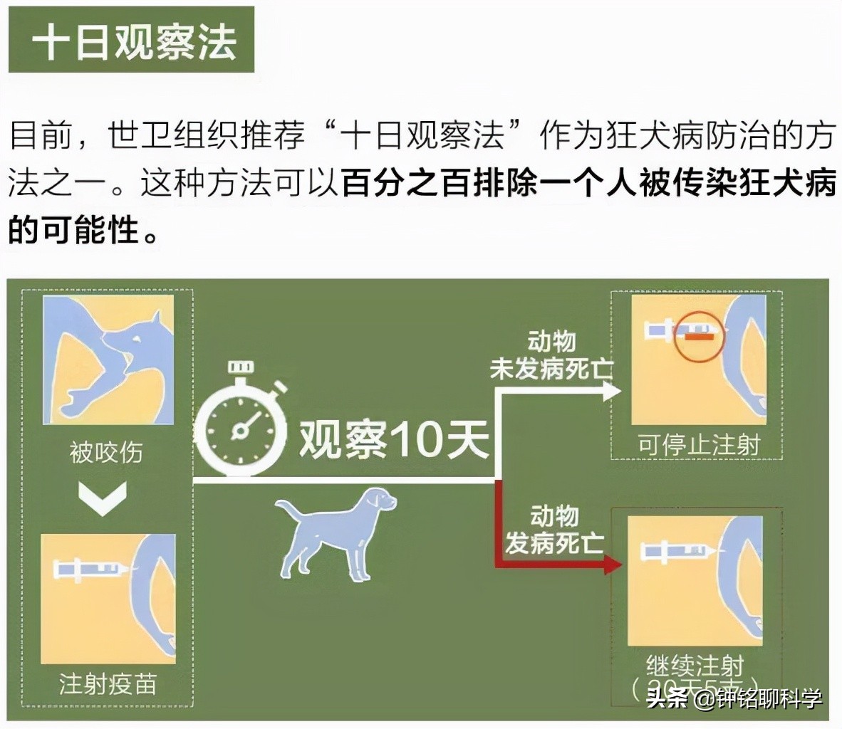 打了狂犬疫苗为何还会发病？第4针疫苗还差2天，男孩狂犬病发离世