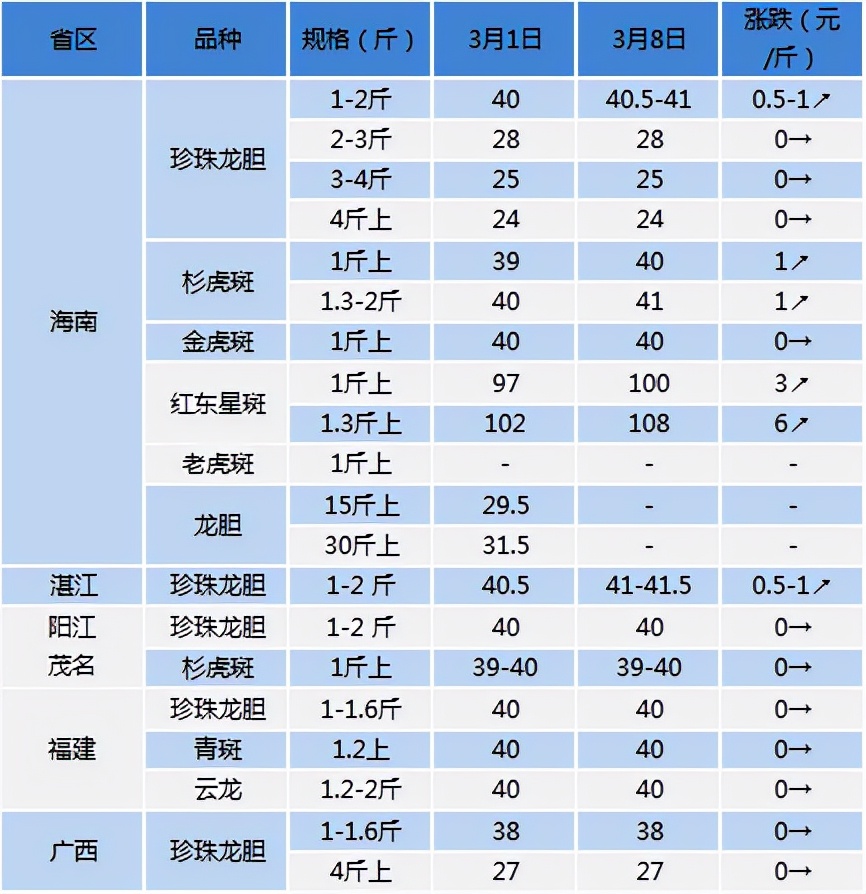 新一轮养殖开始,海南价格涨势喜人!3月8日石斑鱼报价及养殖建议