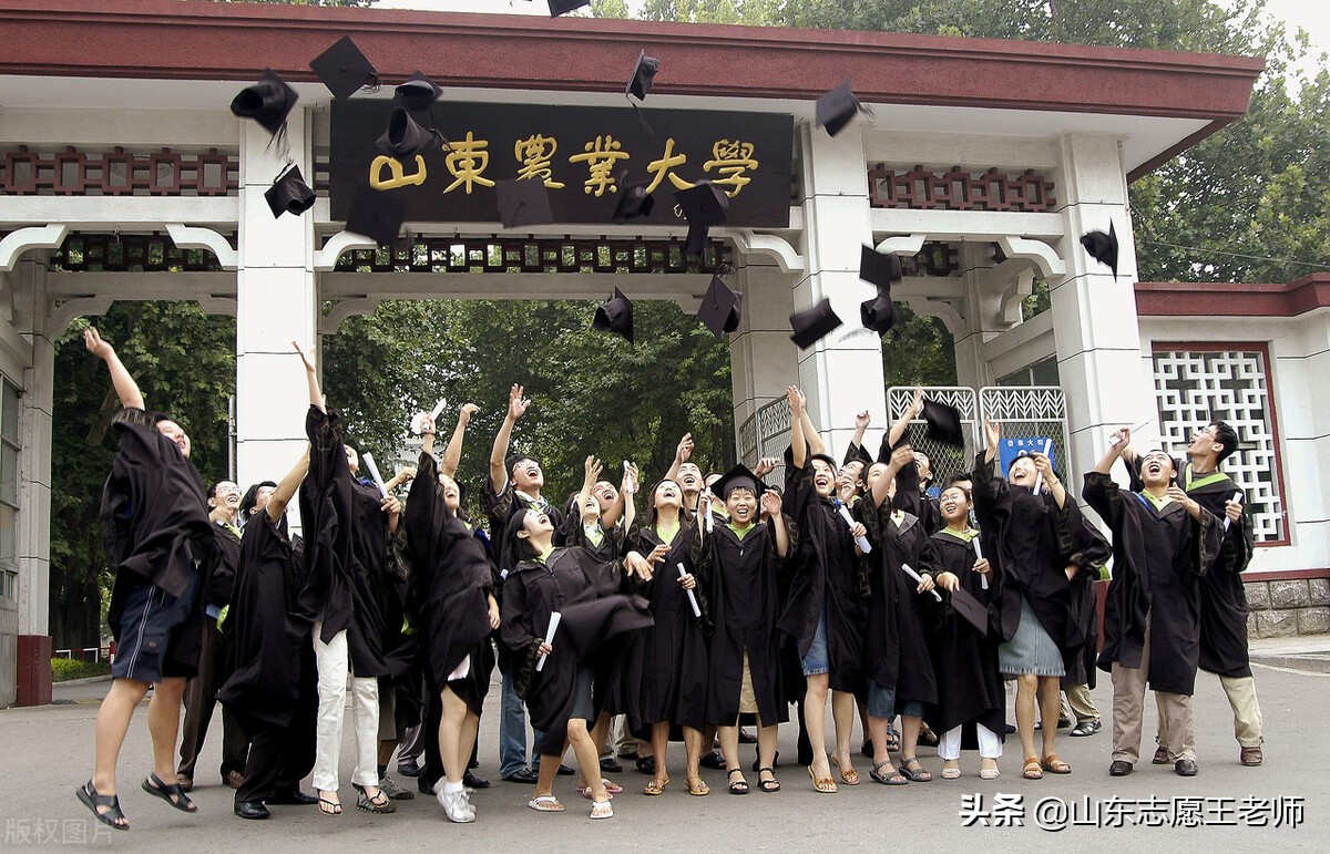 山东农业大学2021年录取分数详情及分析（2022考生收藏）