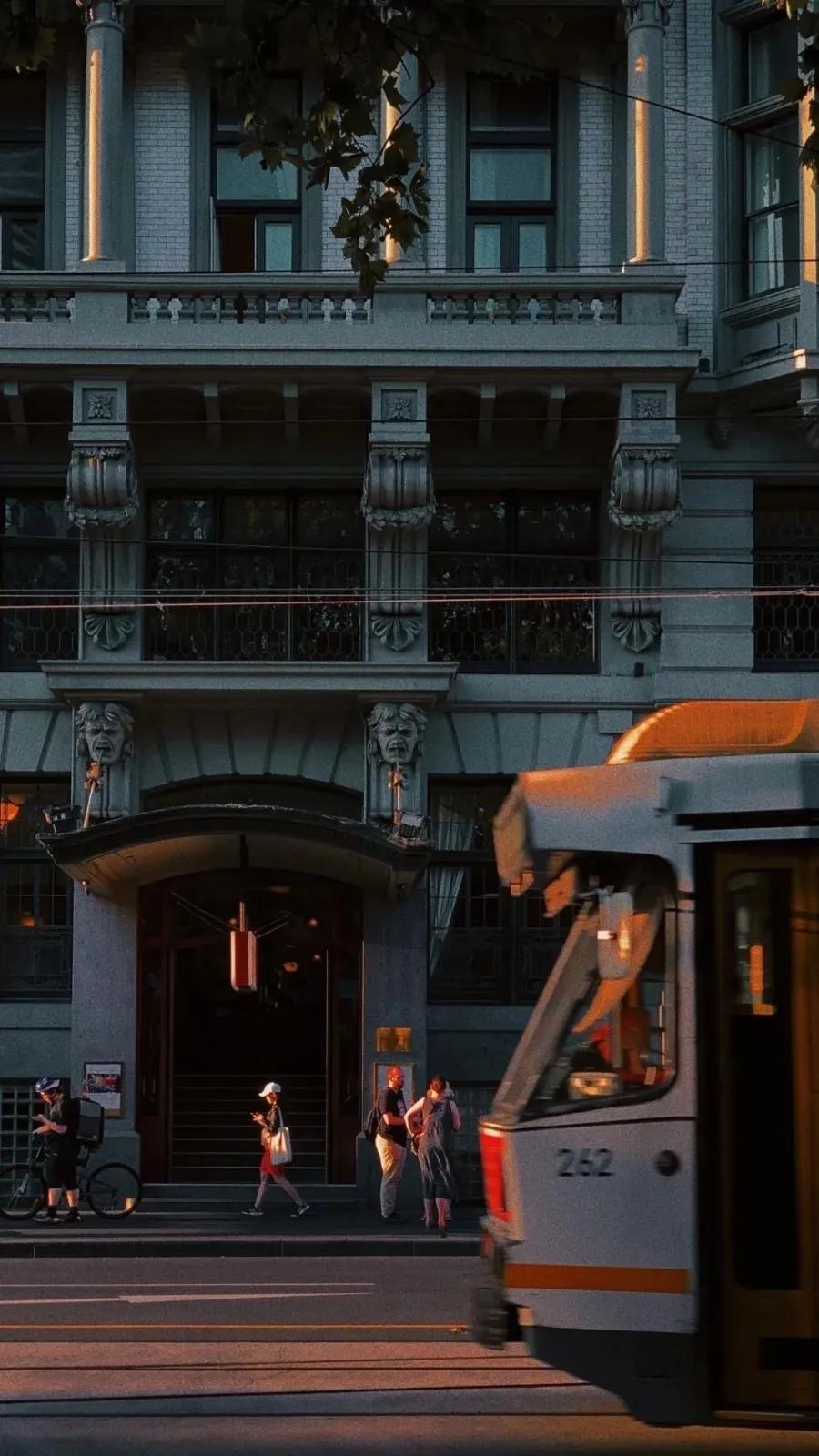 男主是教授甜文书单一