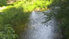 曾轰动美国的银行抢劫案，由于案件设计绝妙，劫匪被抓后成了名人