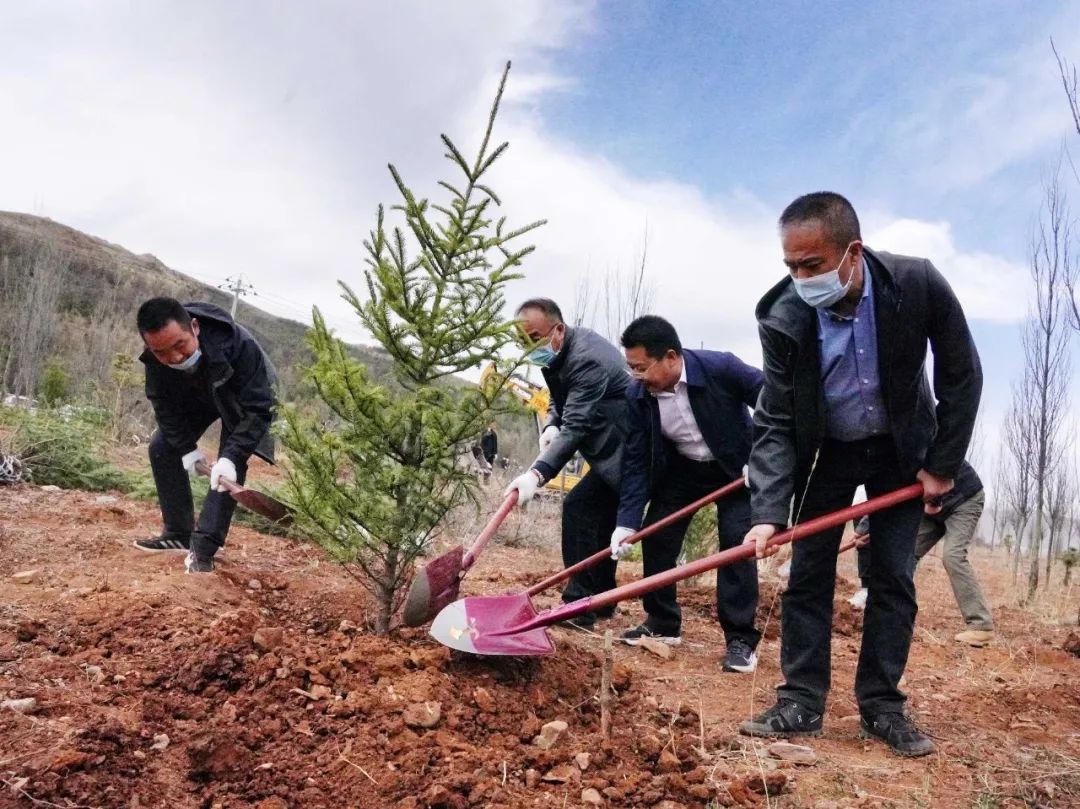 临潭县四大班子领导带头参加春季义务植树活动