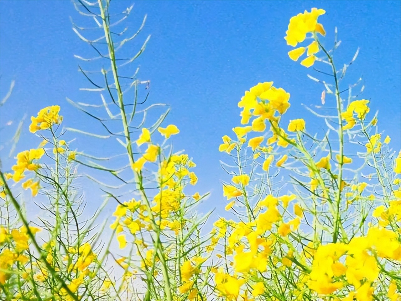 孟郊：世人只知我登科后春风得意，却不懂多次落榜后的万念俱灰