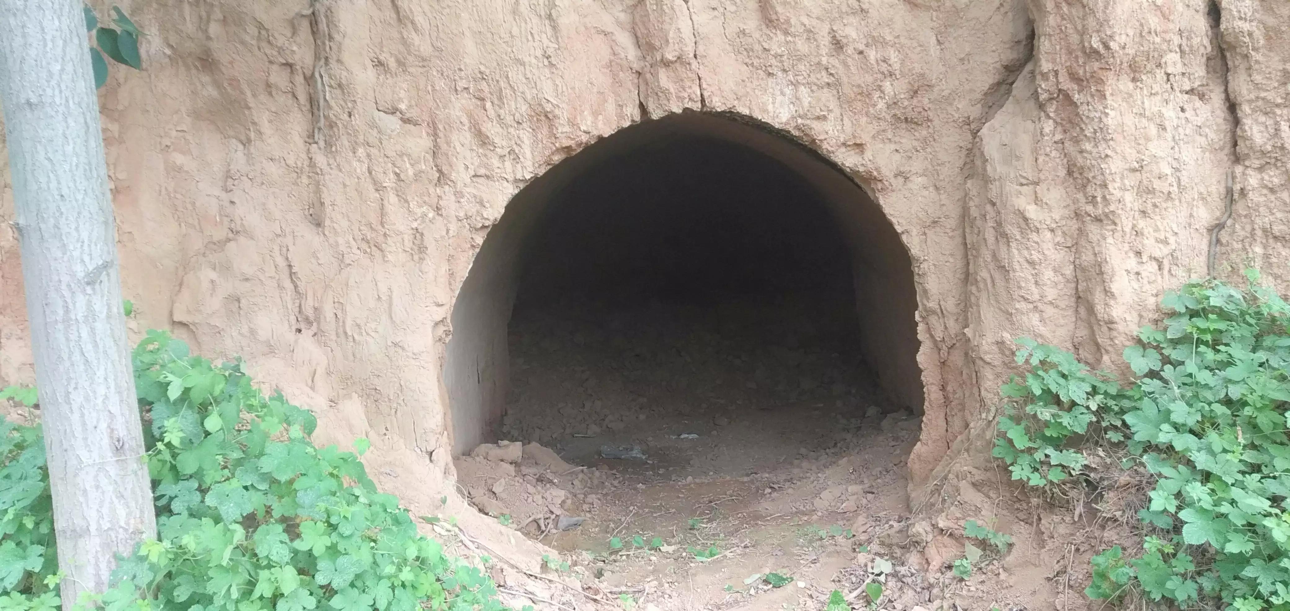 女相的男人（短篇小说）