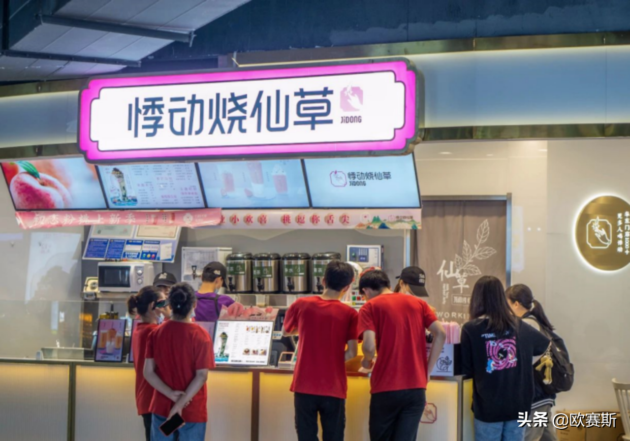 欧赛斯行业研究：仙草茶饮行业现状及代表性品牌分析