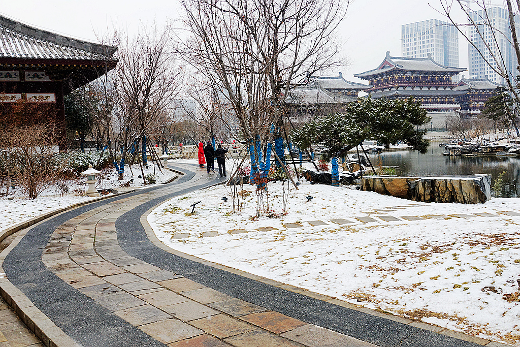 雪游九洲池