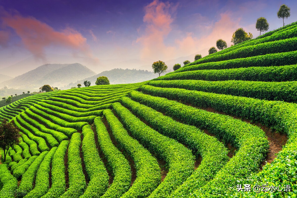 十首描写长安的古诗词，精彩纷呈，值得欣赏和收藏