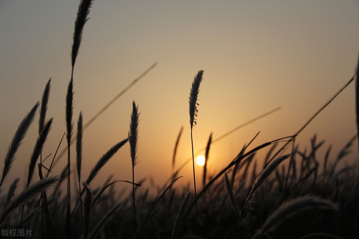 60张唯美惊艳夕阳图片。夕阳无限好，只为近黄昏