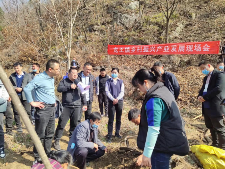 宁陕县龙王镇人大组织代表视察镇域产业发展，助推乡村振兴