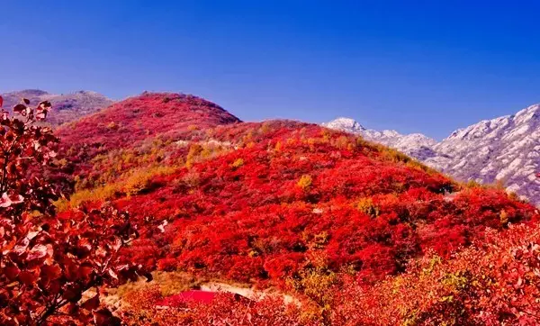 祖國最美的150座秀美名山