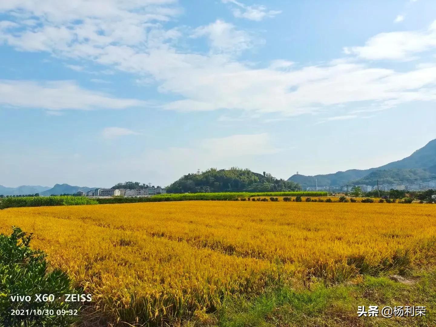 藏头诗50首 感恩师长