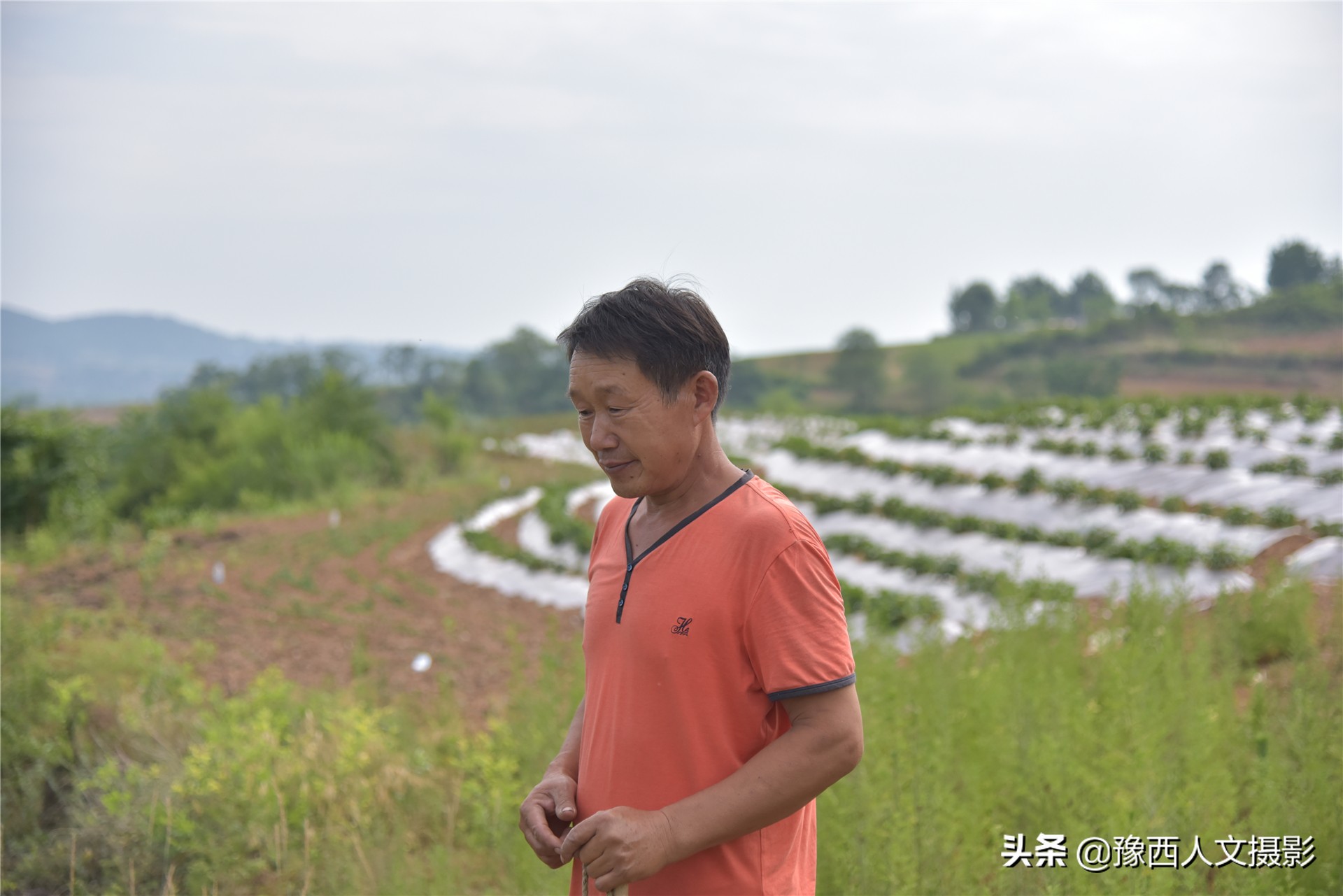 一家4口独享整座大山，养3头牛80只羊种7亩多地，整年不下山