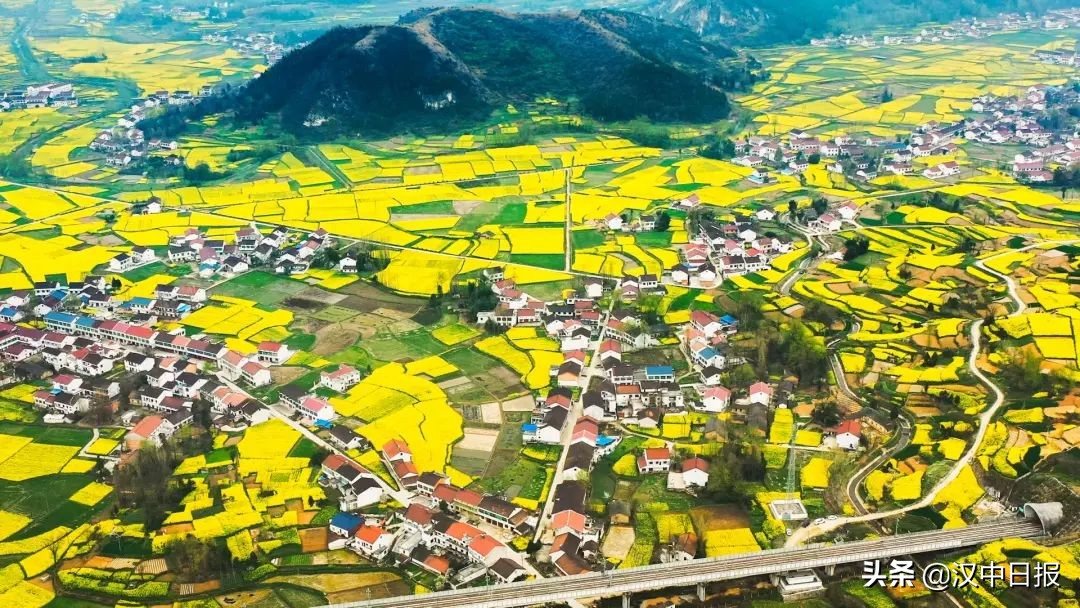 圆满落幕！1000万人参与！精彩→