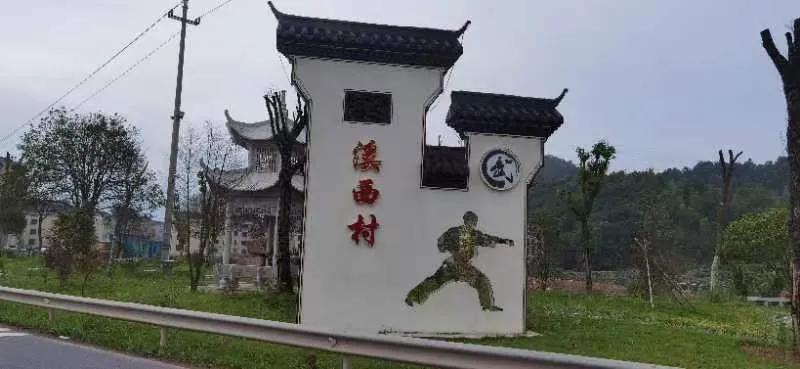 中国政法大学博士团吴江南访浙江溪西村的法治建设