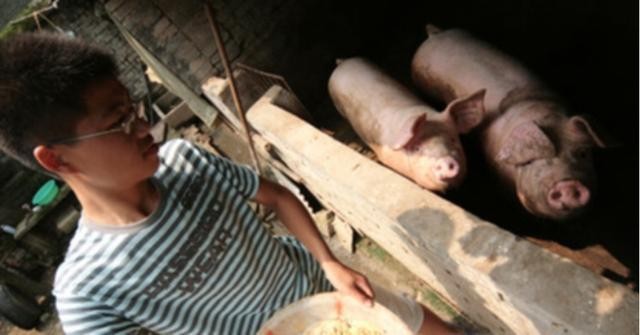 河南15岁男孩父亲去世，和母亲低保度日，4年后，以677分考上清华