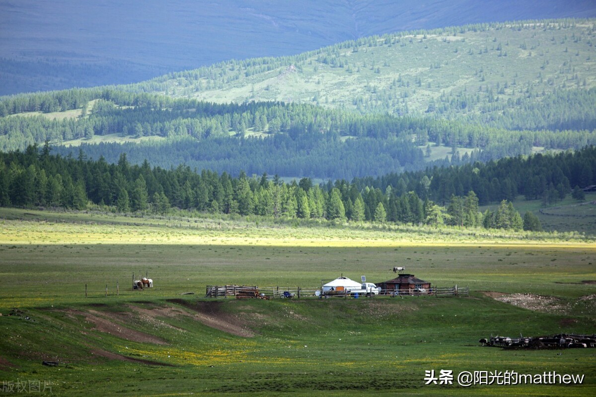 蒙古国库苏古尔省草原一望无际牛马成群一片祥和