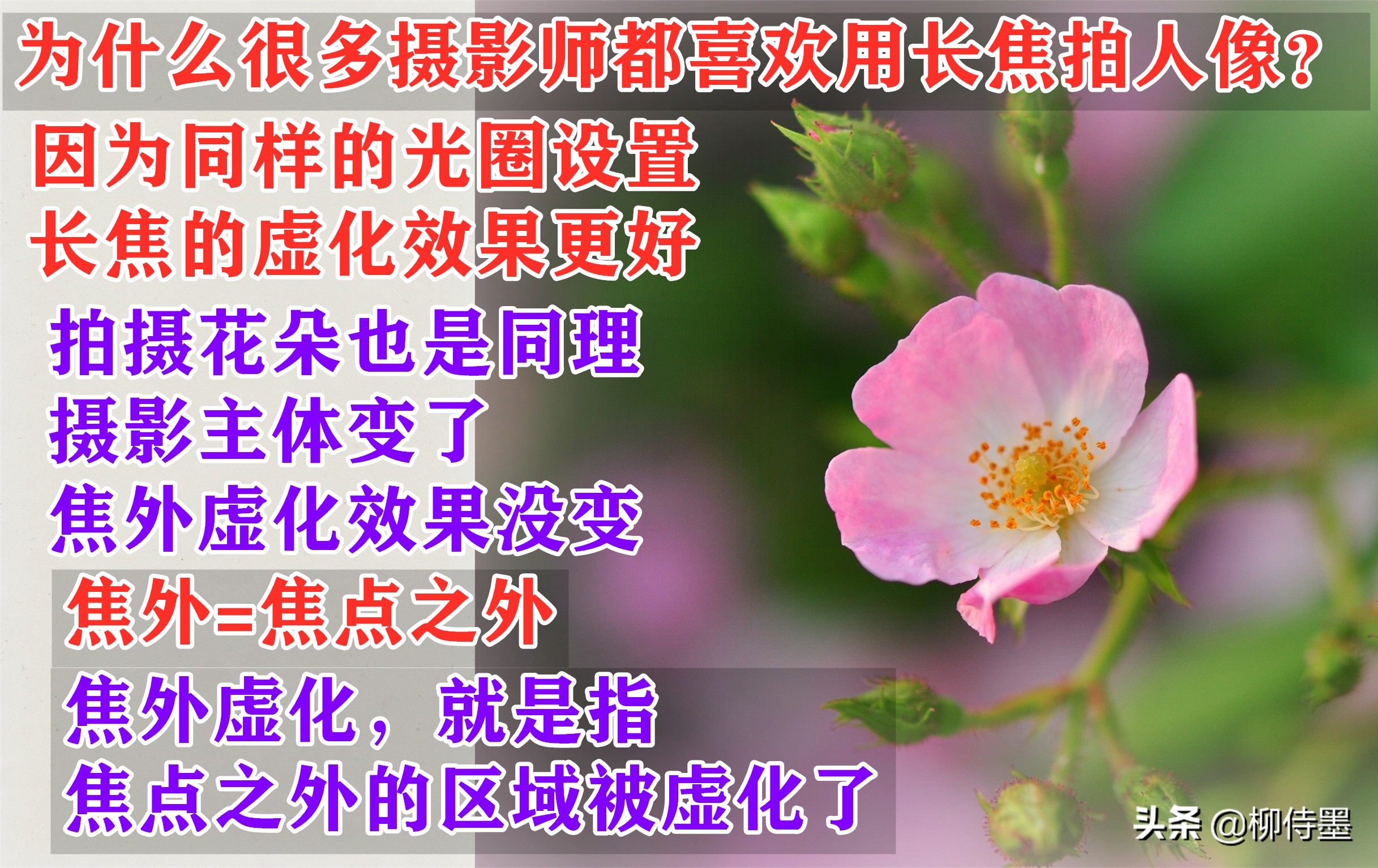 中老年阿姨玩轉(zhuǎn)手機(jī)攝影，照片想要高級感爆棚？一個技巧就搞定