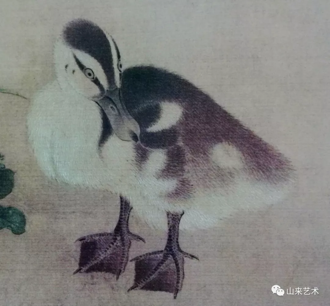 宋 佚名 乳鸭-end-来源:陶冶图说
