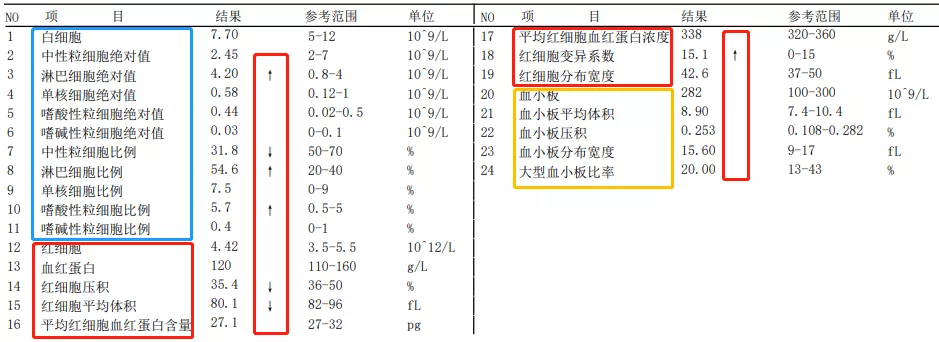 白血病专挑孩子下手，血常规报告上有这3种箭头，要当心