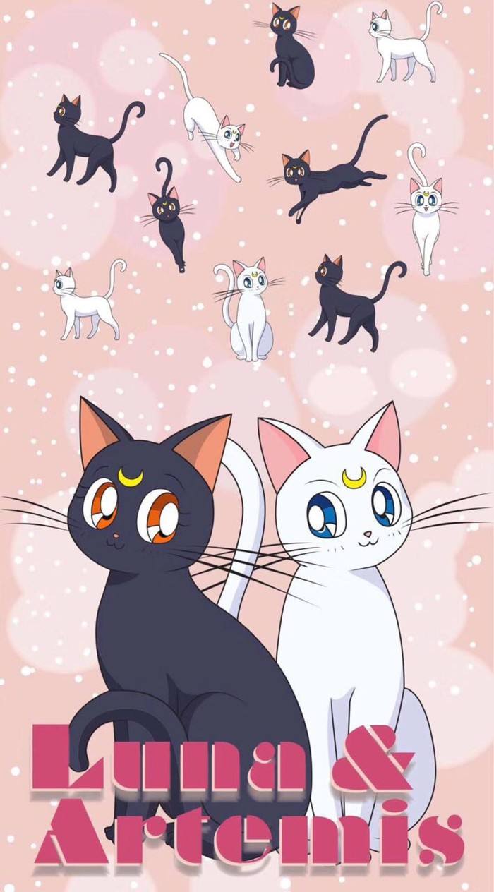 天天迟到,爱睡懒觉的平凡小姑娘却成为代表月亮的美少女战士,这一切都