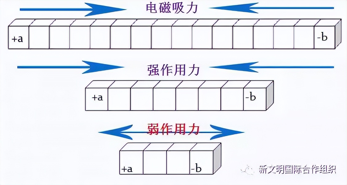 科學家已發現12種極限粒子（絕對基本粒子）
