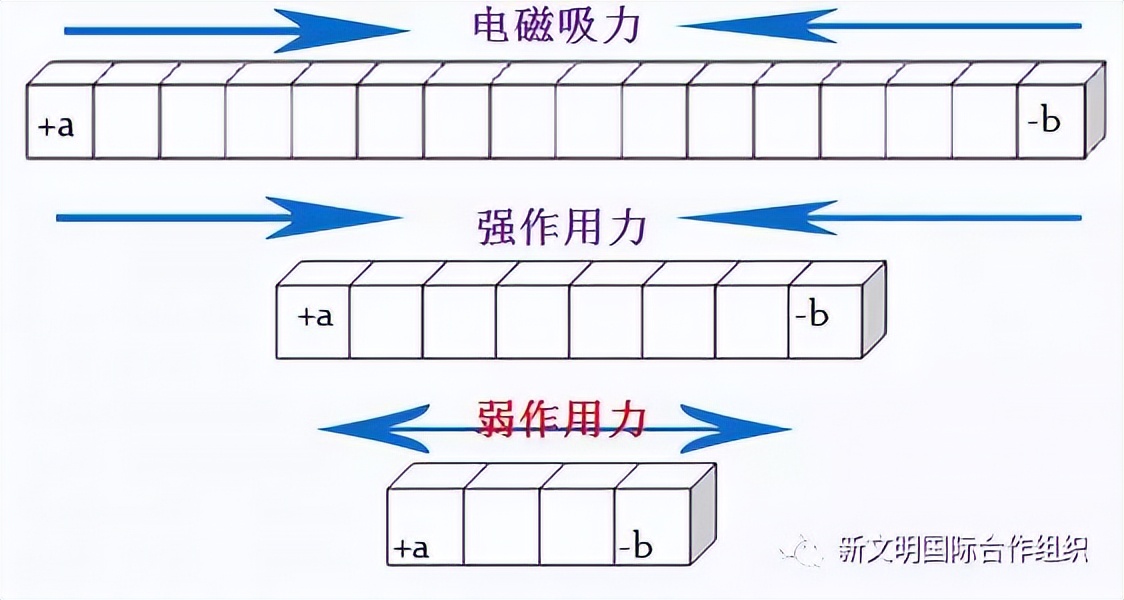 科学家已发现12种极限粒子（绝对基本粒子）