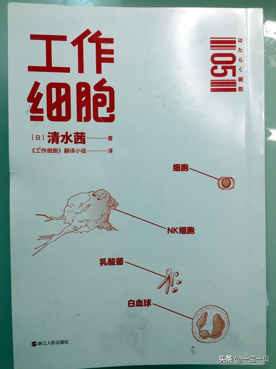 小学生必看的漫画书（阅读习惯培养小孩漫画书推荐）