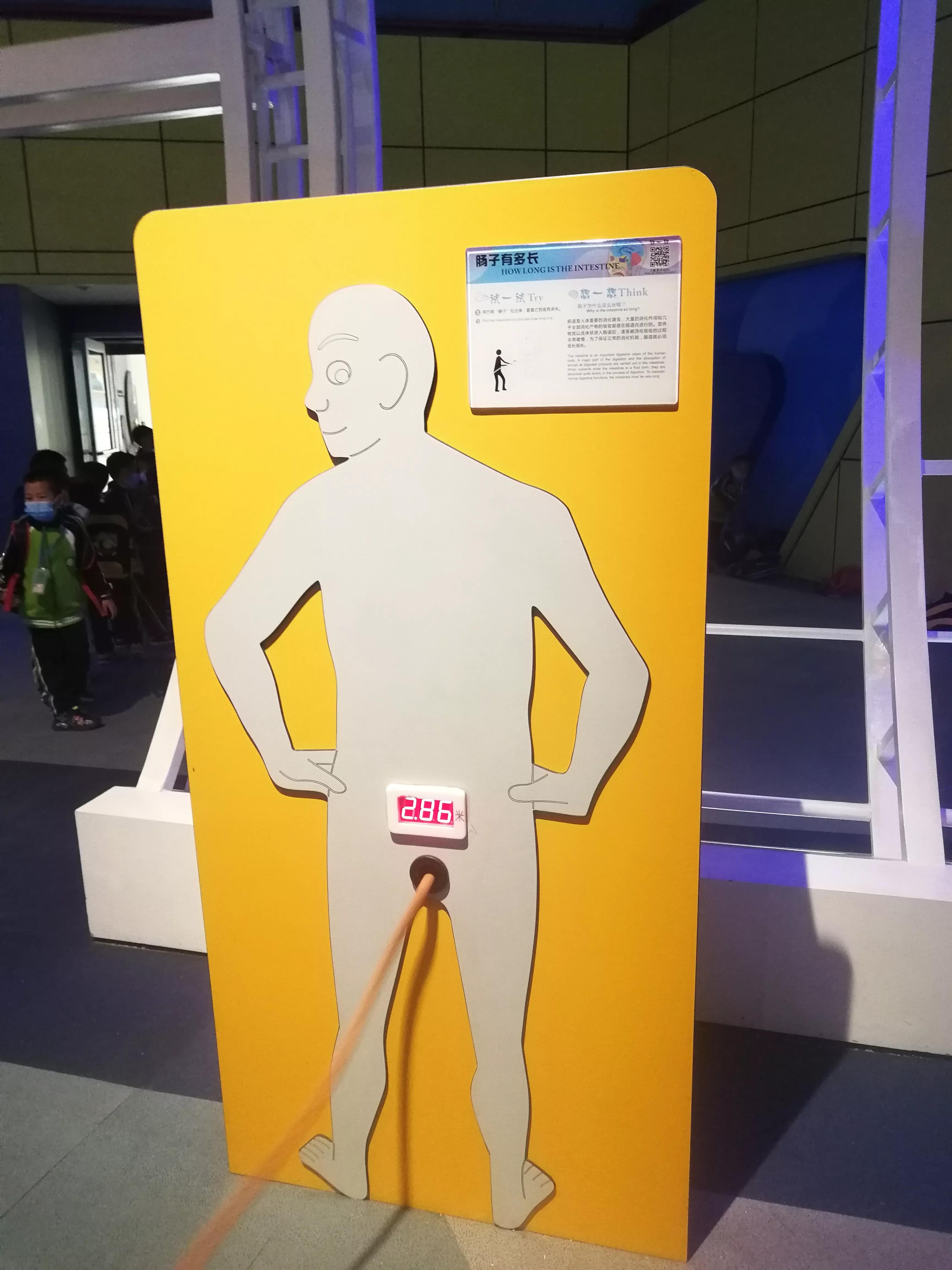 地铁4号线大学城一日游攻略，体验不一样的广州大学城风光（A篇）