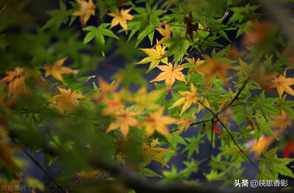 5年运营经验，总结出7条自媒体运营技巧，让你玩转内容运营