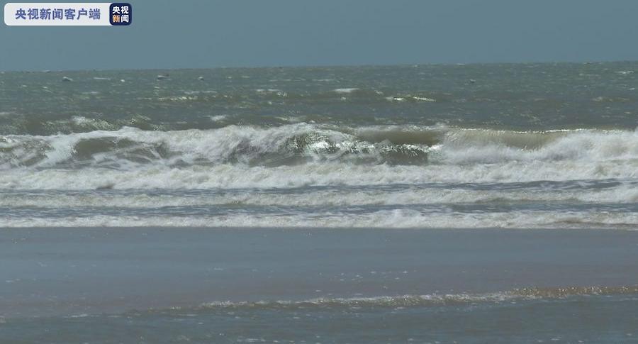 8月漳州海滩11人溺亡：结伴游玩被卷入海中，因何原因至今未知