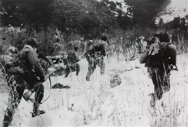 ���ֱ�����������ʷ��ë��ϯ�Ƹ�����������ȳ������ж����Ϊ