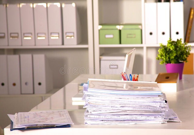 一份完整的绩效审计报告格式