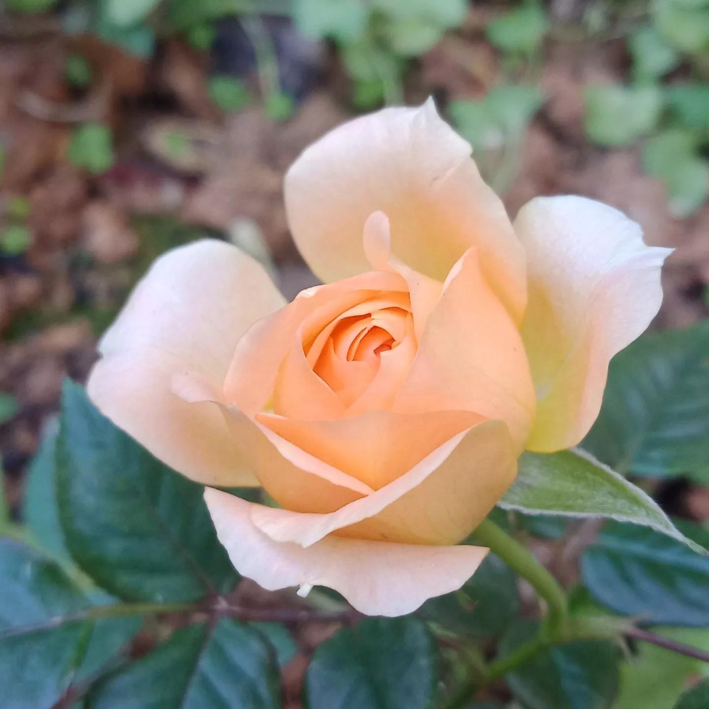 在58同城做精准推广，接一个电话的成本，大约是13.66元