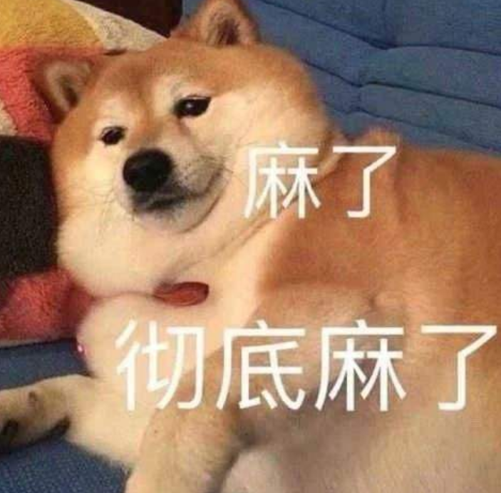 湖南元宵晚会主持班子集体翻车，河南台新颖，央视主持成最大赢家
