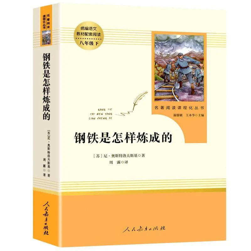 《钢铁是怎样炼成的》备考训练，带答案及详细解析