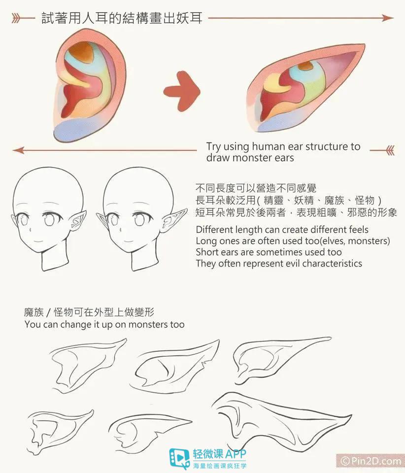 如何画好耳朵？二次元人物耳朵画法教程