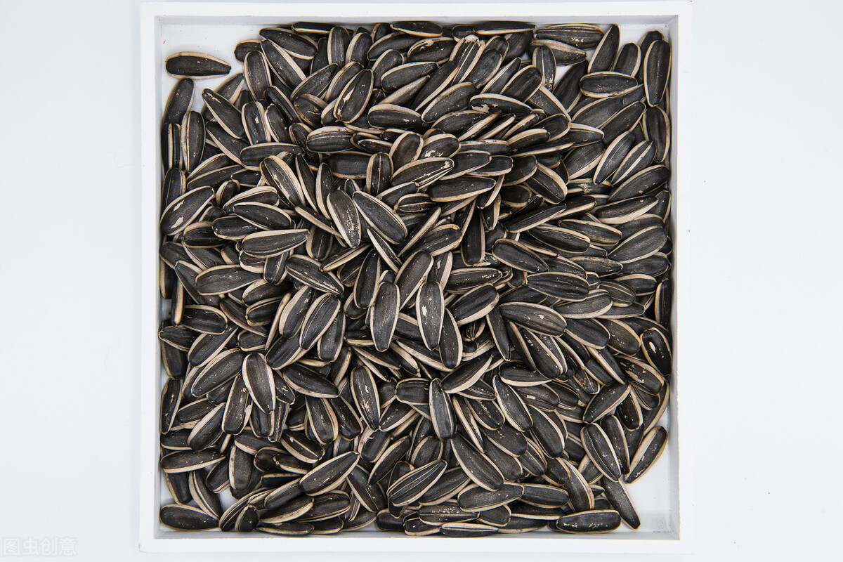 生葵花籽的功效与作用 生葵花籽养胃吗 汽车时代网