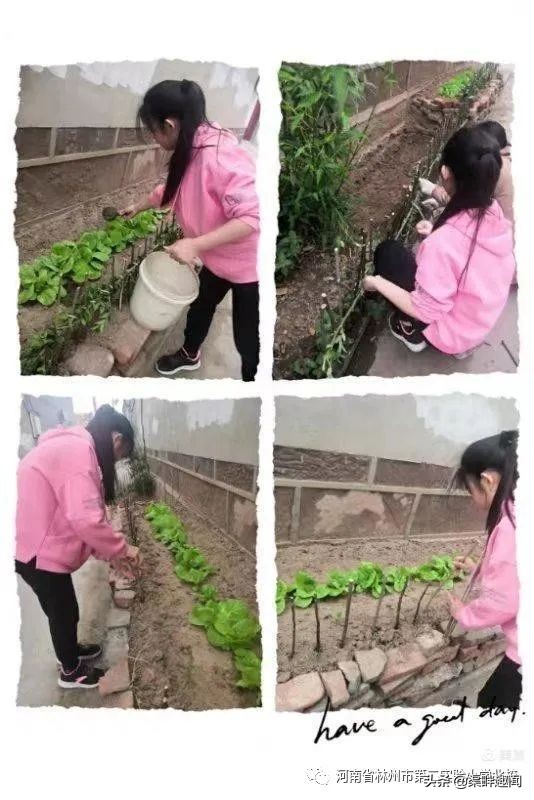 二实小北校：作业展示｜手绘童年 快乐成长