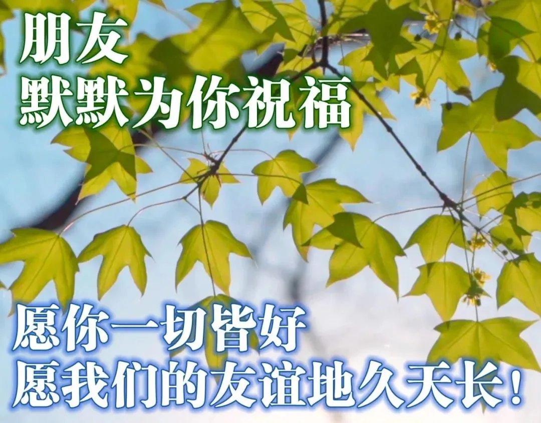 「2021.11.26」早安心语，正能量走心语录文案冬天早上好说说图片