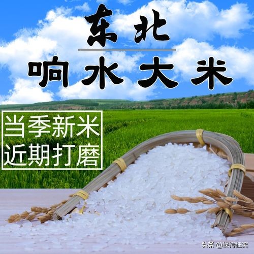 中国十大优质大米 宁夏珍珠米上榜，第一产于黑龙江