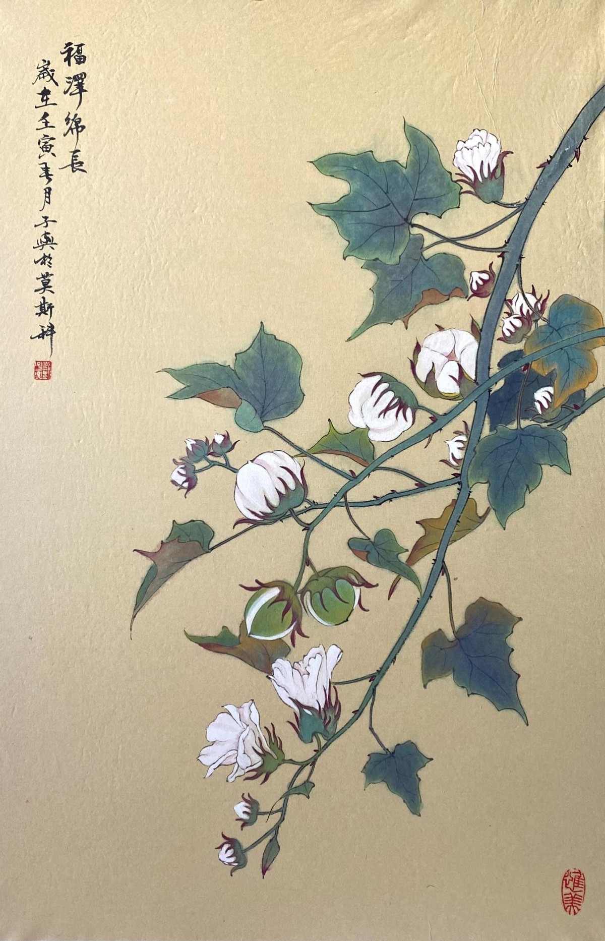 “思考自然之美”开展，刘子舆走进俄罗斯国家科学院“大师课堂”