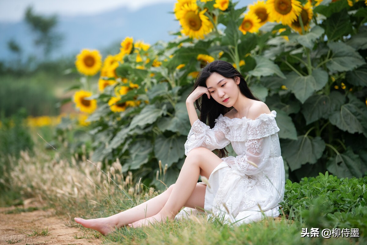 向日葵花開正當(dāng)時(shí)，3個(gè)方法提升人像攝影品質(zhì)，照片清新又唯美