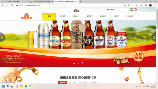 金星啤酒集团搜索引擎营销方案（F6版）