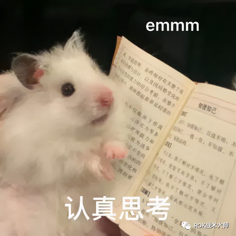 万国觉醒丨图拉真装备推荐