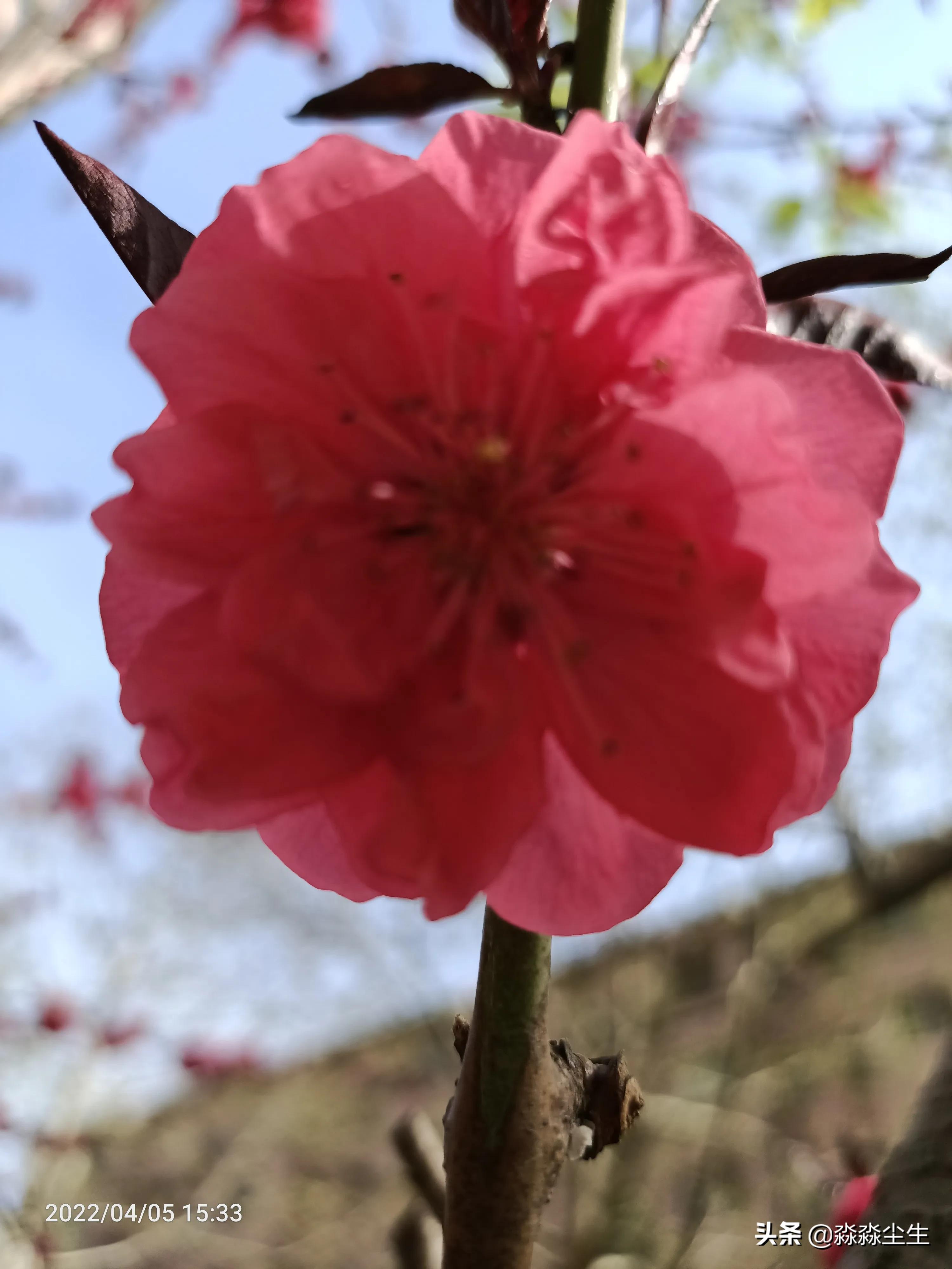 生活处处是景，美好常伴心田