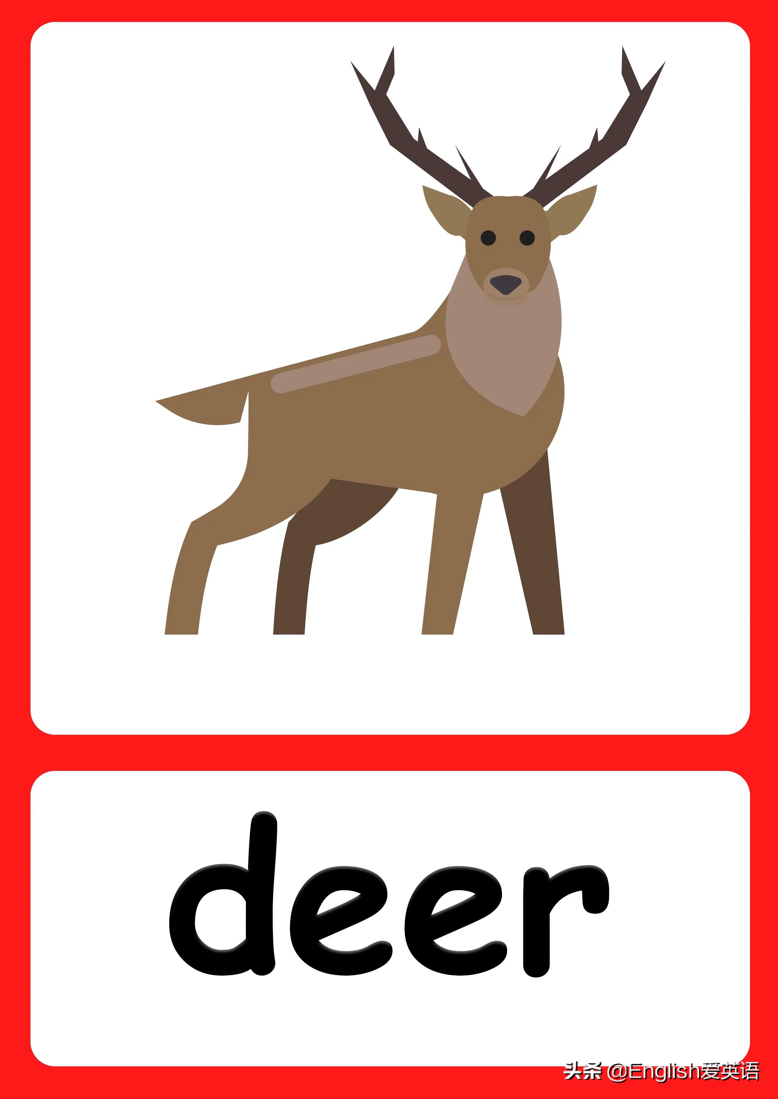 大人都喜欢的英语启蒙视频 上百个视频81个文件 附Flashcards可打印