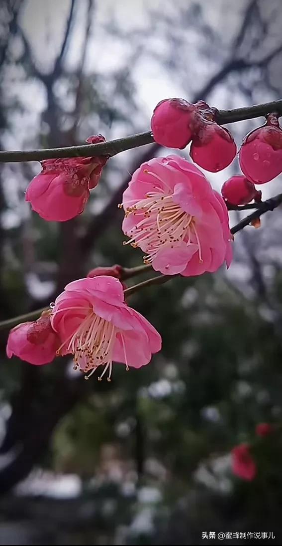 心如向阳，一路鲜花盛开，芬芳相随